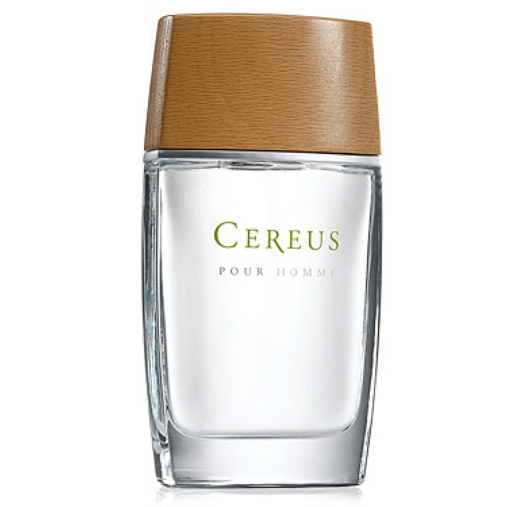 Cereus 4