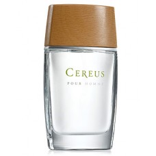 Cereus 5