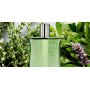 Hermes H24 Herbes Vives