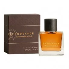 Abercrombie and Fitch Endeavor