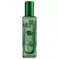 Jo Malone Lavender and Coriander