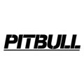 Pitbull