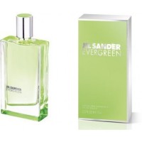 Jil Sander Evergreen Jil Sander Evergreen