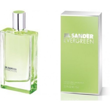 Jil Sander Evergreen