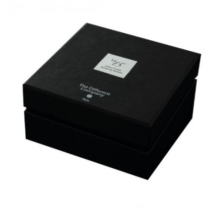 The Different Company Le 15