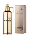 Montale Amber & Spices Montale Amber & Spices