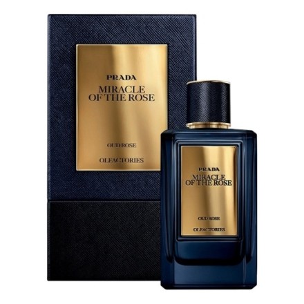 Prada Olfactories Miracle Of The Rose