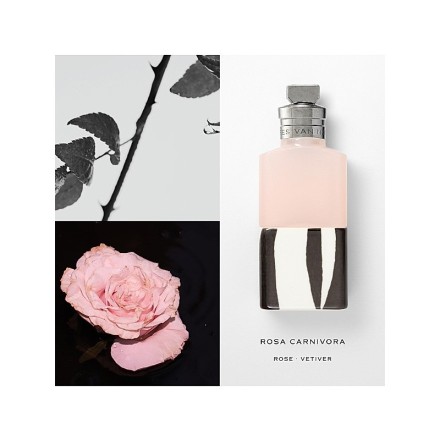 Dries Van Noten Rosa Carnivora