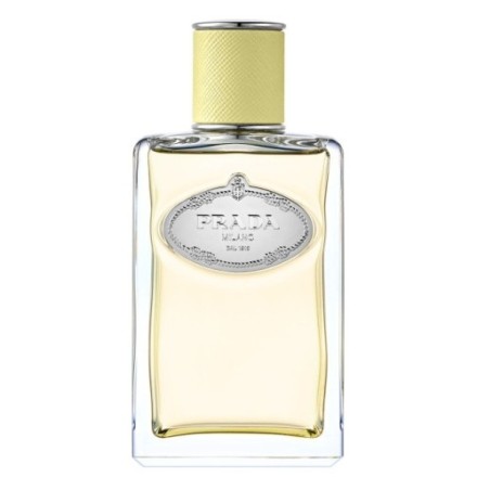 Prada Infusion de Gingembre