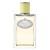 Prada Infusion de Gingembre