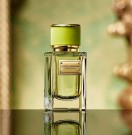 Dolce&Gabbana Velvet Mughetto Dolce&Gabbana Velvet Mughetto