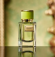 Dolce&Gabbana Velvet Mughetto Dolce&Gabbana Velvet Mughetto