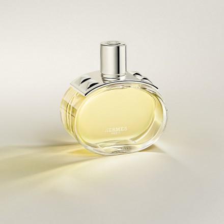 Hermes Barenia