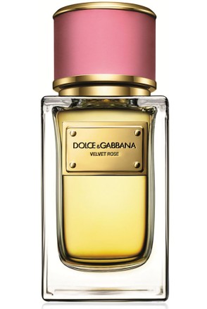 Dolce&Gabbana Velvet Rose
