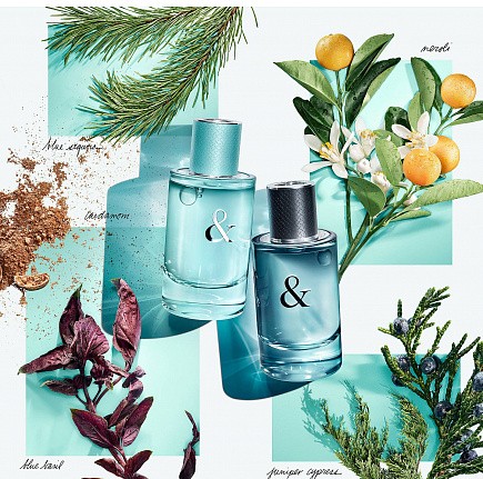 Tiffany & Co Love For Him