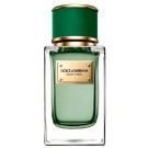 Dolce&Gabbana Velvet Cypress