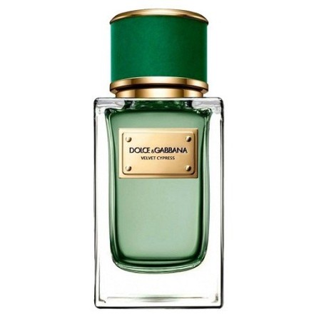 Dolce&Gabbana Velvet Cypress
