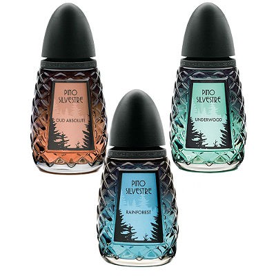 Pino Silvestre Rainforest