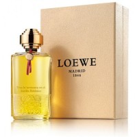 Loewe Tras La Tormenta En El Jardin Botanico