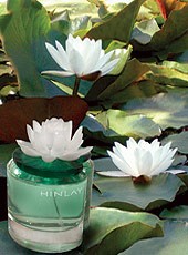 Lorelyane Hinlay Lorelyane