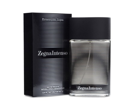 Ermenegildo Zegna Zegna Intenso