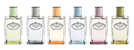 Prada Infusion de Fleur d Oranger 2015