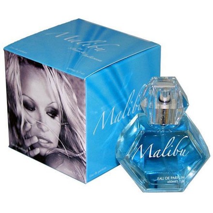 Pamela Anderson Malibu Day