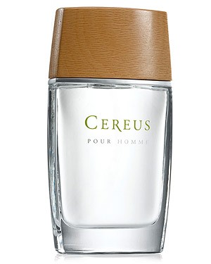 Cereus 4