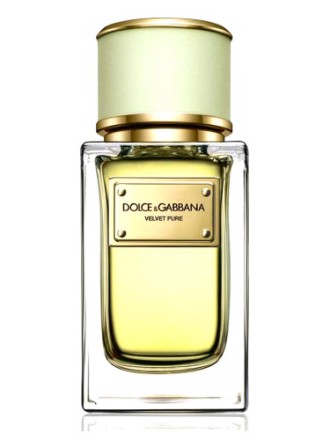 Dolce&Gabbana Velvet Pure