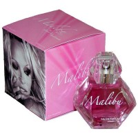 Pamela Anderson Malibu Night