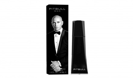 Pitbull Pitbull Man