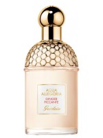 Guerlain Aqua Allegoria Ginger Piccante Guerlain Aqua Allegoria Ginger Piccante