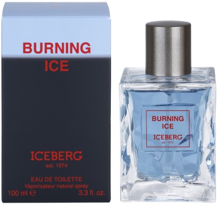Iceberg Burning Ice