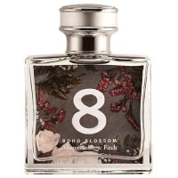 Abercrombie and Fitch 8 Boho Blossom