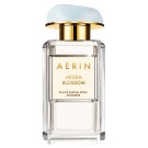 Aerin Aegea Blossom Aerin Aegea Blossom