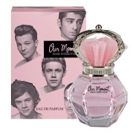 One Direction Our Moment