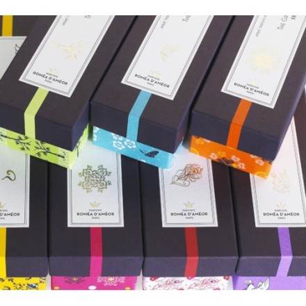 Romea d`Ameor The Mistresses of Louis Xiv