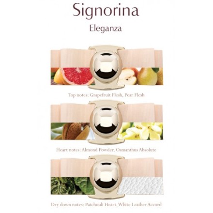 Salvatore Ferragamo Signorina Eleganza