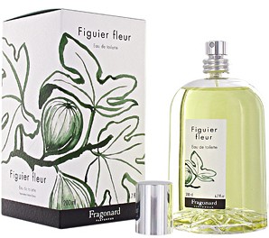 Fragonard Figuier fleur