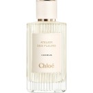 Chloe Atelier Des Fleurs Cedrus Chloe Atelier Des Fleurs Cedrus
