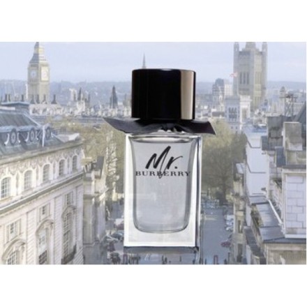 Burberry Mr. Burberry