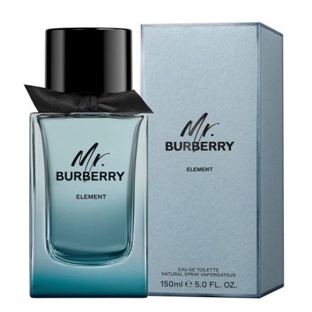Burberry Mr Burberry Element