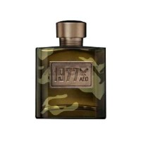 American Eagle AEO 1977